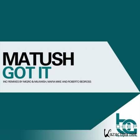 Milkwish, Matush, Miqro - Got It (Miqro, Milkwish Remix)