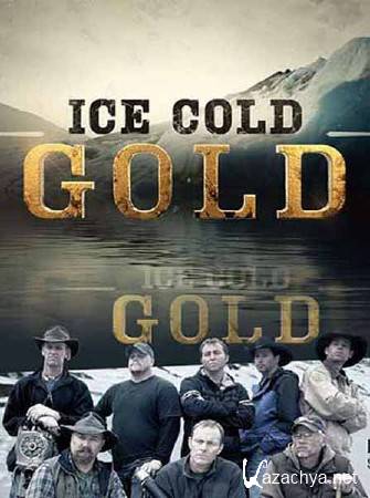 Discovery:  .   (3 ) / Ice Cold Gold (2013) SATRip 