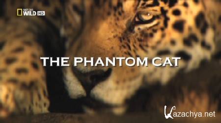 Nat Geo Wild:   / Nat Geo Wild: The Phantom Cat (2012)  HDTVRip
