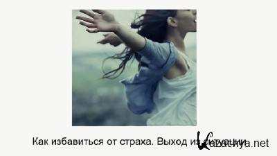 ��� ���������� �� ������ (2013)