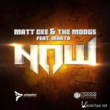 Matt Cee, The Moogs Feat. Marta - NOW (Dave202 Extended Mix) [2013, MP3]