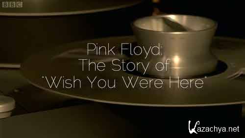 Pink Floyd -    "Wish You Were Here" / Pink Floyd - The Story of Wish You Were Here (video)