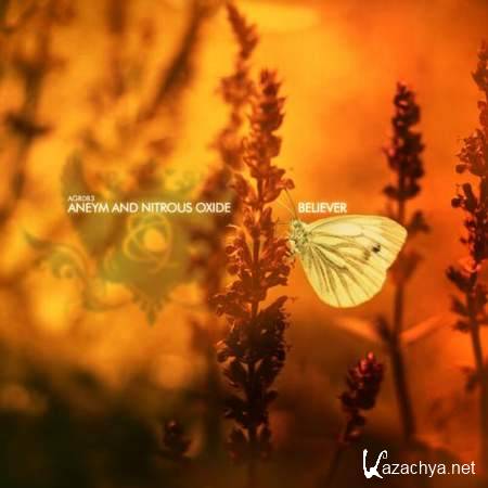 Aneym Feat. Nitrous Oxide - Believer (Extended Mix) [2013, MP3]