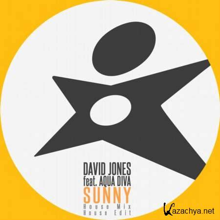 David Jones, Aqua Diva - Sunny Feat. Aqua Diva (House Mix) [2013, MP3]