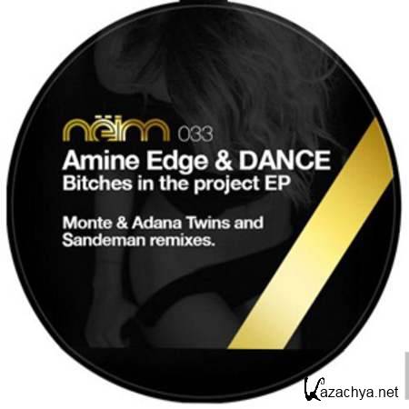 Amine Edge, Dance - Bitches In The Project (Original Mix) [2013, MP3]