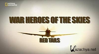   : " " / War Heroes of the skies: Red Tails (2012) IPTVRip