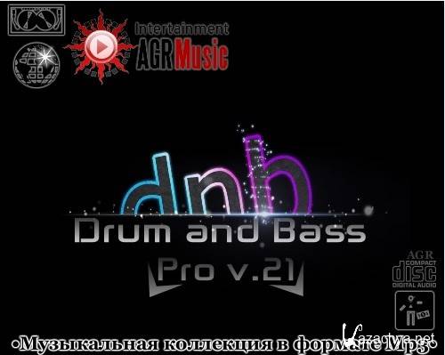 Drum and Bass Pro V.21 [2013, MP3]