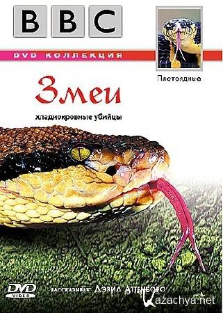 BBC: .  / BBC. Serpent (2003) DVDRip-AVC
