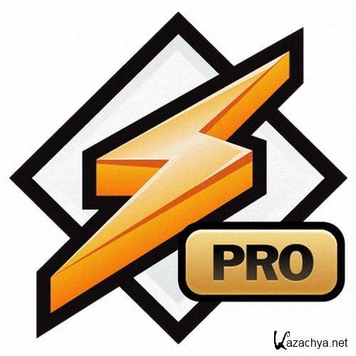 Winamp Pro 5.65 Build 3438 Final RePack (& Portable) by D!akov (2013)