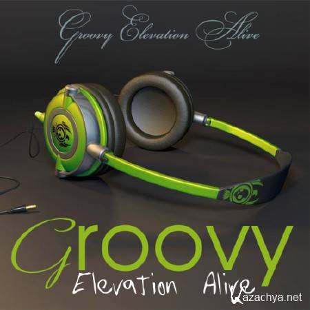 Groovy Elevation Alive (2013)