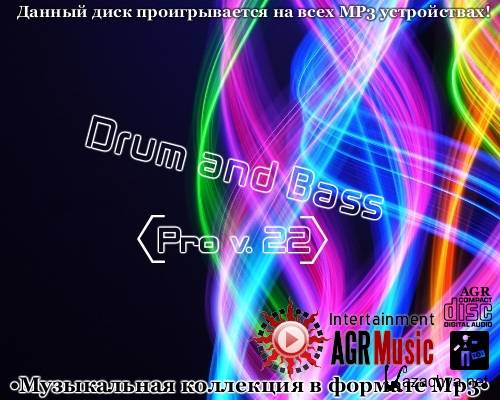 VA - Drum and Bass Pro V.22 (2013) MP3
