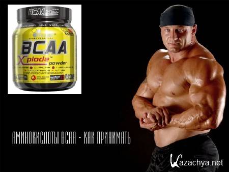  BCAA -   (2013)