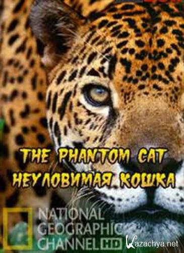 ���������� ����� / The Phantom Cat (2012) HDTVRip