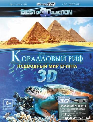   3D:    / Adventure coral reef 3D: Under the sea of Egypt (2012/HDRip)