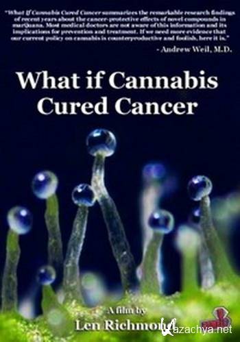      ? / What if cannabis cured cancer? (2010) WEBRip