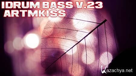 IDrum Bass v.23 (2013)