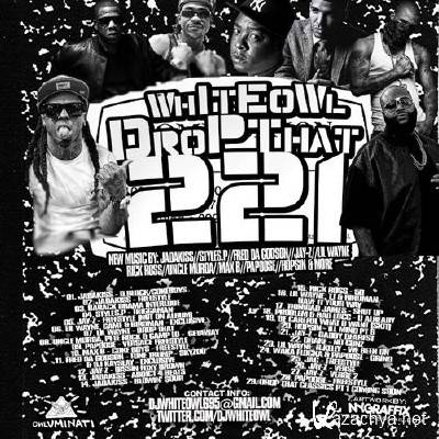 DJ Whiteowl - Whiteowl Drop That 221 (2013)