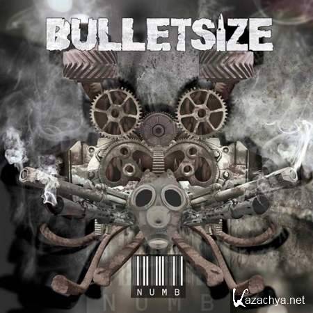 Bulletsize - Numb [2013, MP3]