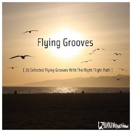 Flying Grooves - 25 Selected Flying Grooves With the Right Flight Path (2013)