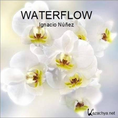 Ignacio Nunez - Waterflow [2011, MP3]
