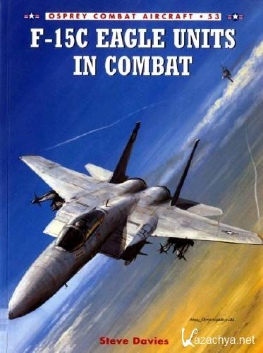  F-15C Eagle in Combat