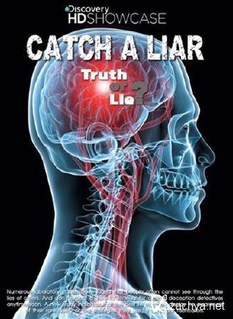 Discovery:   / Discovery: Catch A Liar (2009) HDTVRip-AVC 