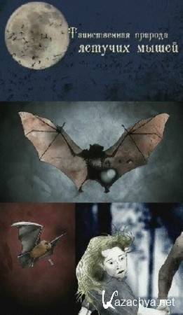     / Bats (2010) SATRip