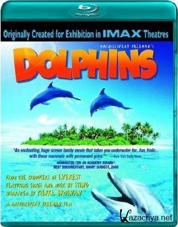 IMAX:  / IMAX: Dolphins (2000) BDRip-AVC 