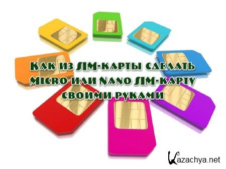   SIM-  Micro  Nano SIM-   (2013)