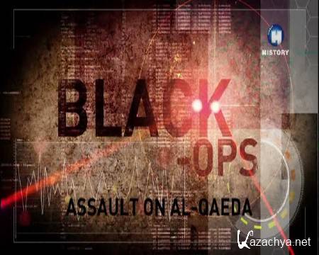     / Assault on Al Qaeda (2013) DVB