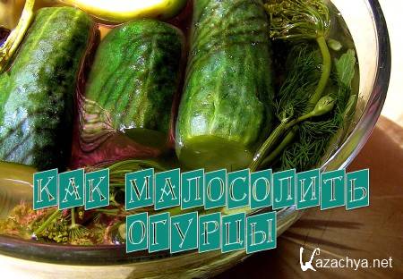 ��� ���������� ������  (2013) 