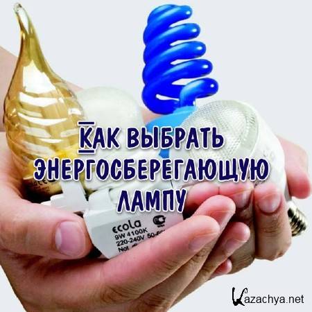 ��� ������� ����������������� ����� (2013)