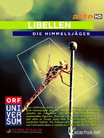  .   / Libellen - Die Himmelsjager (2010) HDTVRip (1080p)