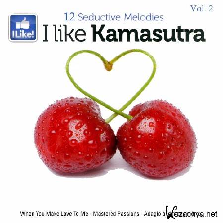 I Like Kamasutra, Vol. 2 (2013)