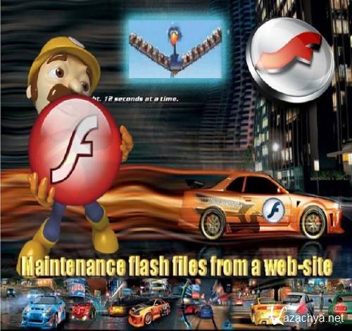 Maintenance flash files from a web-site