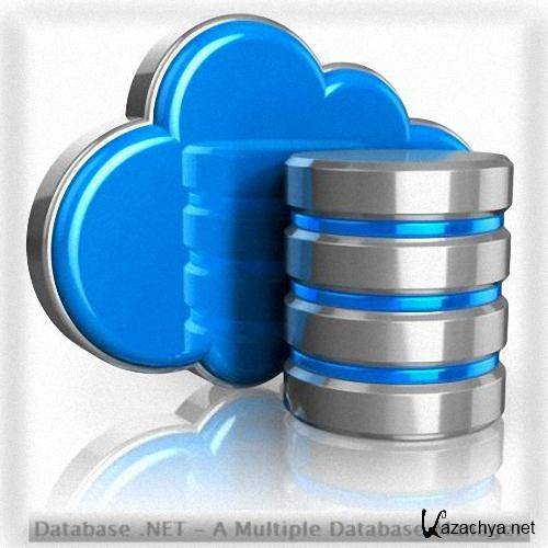 Database .NET 9.1.4985.26 (2013)
