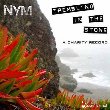 Nym - Trembling In The Stone (2013, MP3)