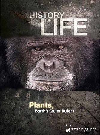  .  -    / History of life. Plants, Earths Quiet Rulers (2012) SATRip 