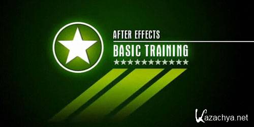 Adobe After Effects Basic Training (2011)()