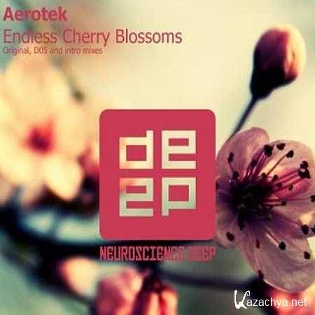 Aerotek - Endless Cherry Blossoms (D05 Remix) (2013)