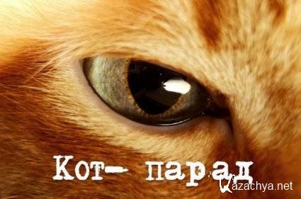 ��� - ����� (SATRip/2013)