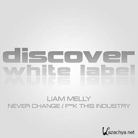 Liam Melly - Never Change (Original Mix) (2013)