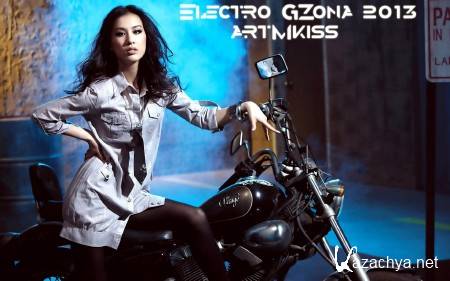 Electro GZona (2013)