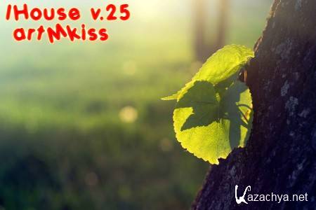 IHouse v.25 (2013)