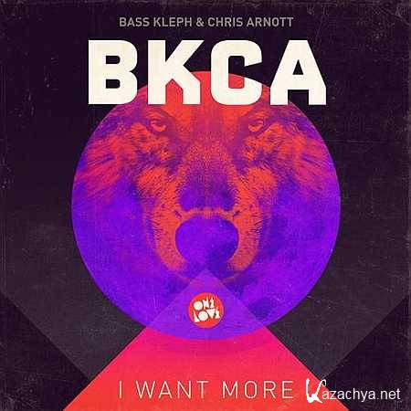 Bass Kleph & Chris Arnott - I Want More (Disfunktion Remix) (2013)