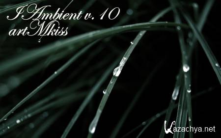 IAmbient v.10 (2013)