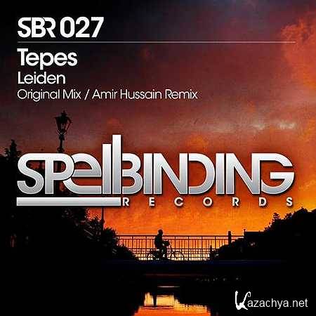 Tepes - Leiden (Amir Hussain Remix) (2013)