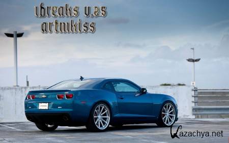 IBreaks v.25 (2013) IBreaks v.25 (2013)