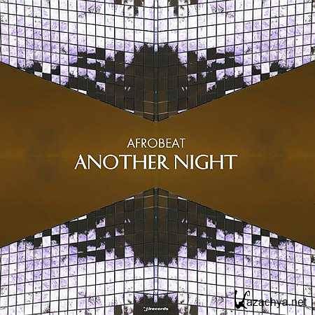 Afrobeat - Another Night (Animal Picnic Remix) (2013)