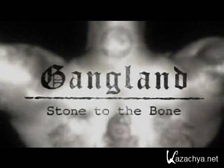  :       / Gangland: Stone to the Bone (2007) SATRip
